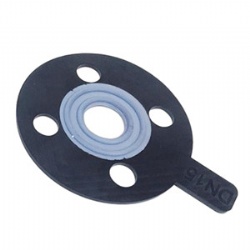 Flange Gasket